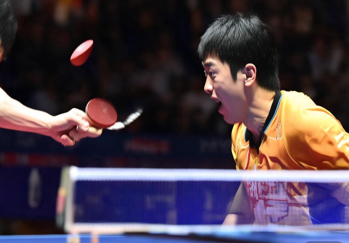 2013乒坛巅峰对决：马龙樊振东精彩对决回顾(图2)